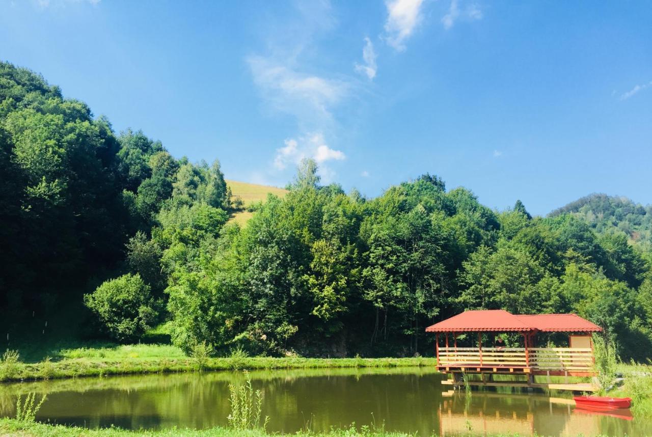 Vila Roca Hotel And Spa Valea Drăganului Exterior foto